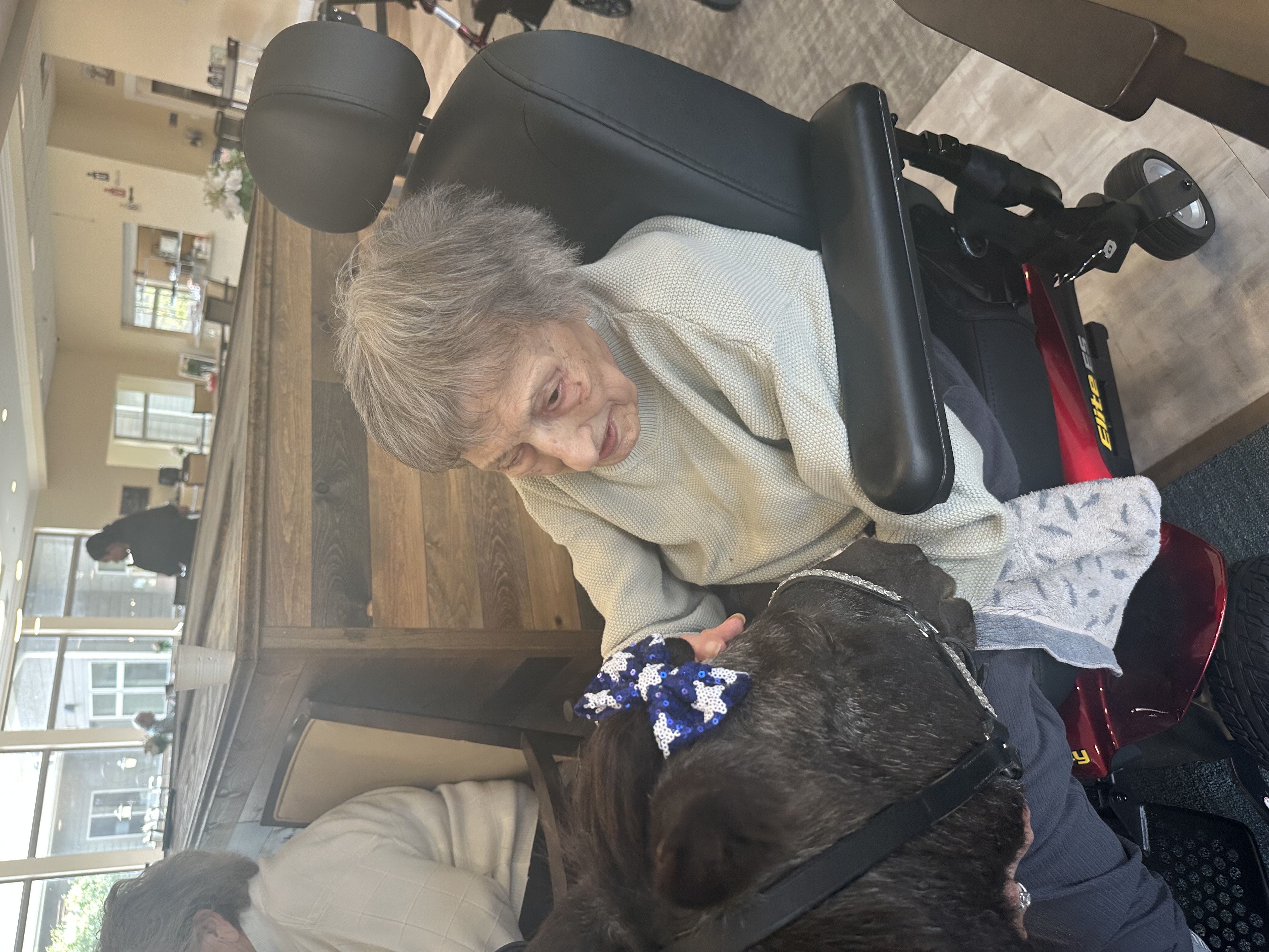 horse and lady in scooter