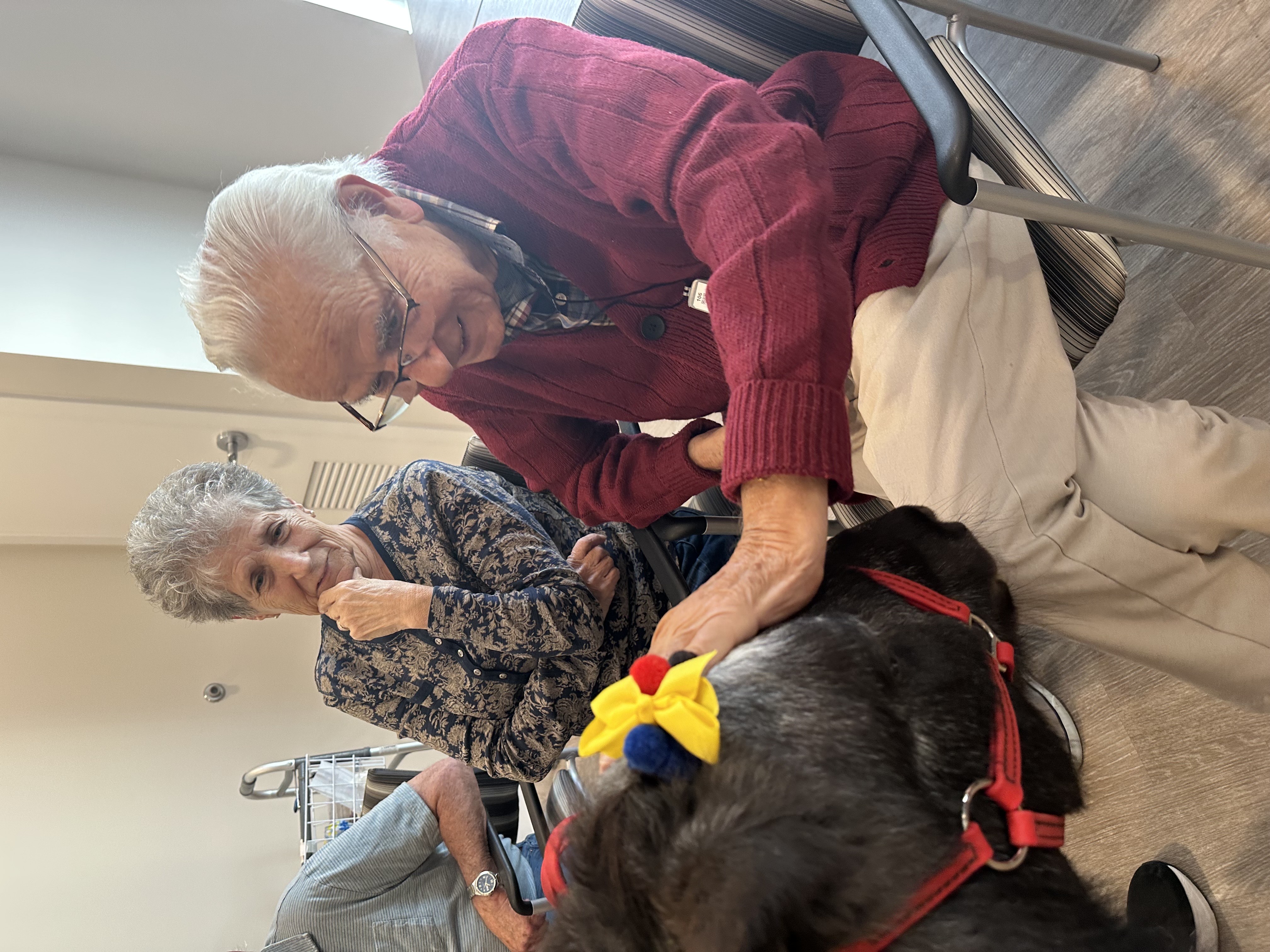 horse and man with glasses